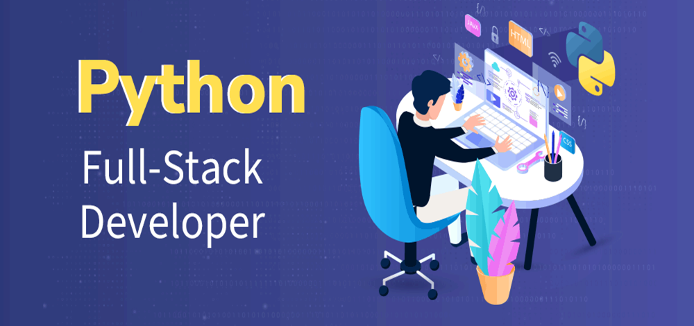 Python Developer Program